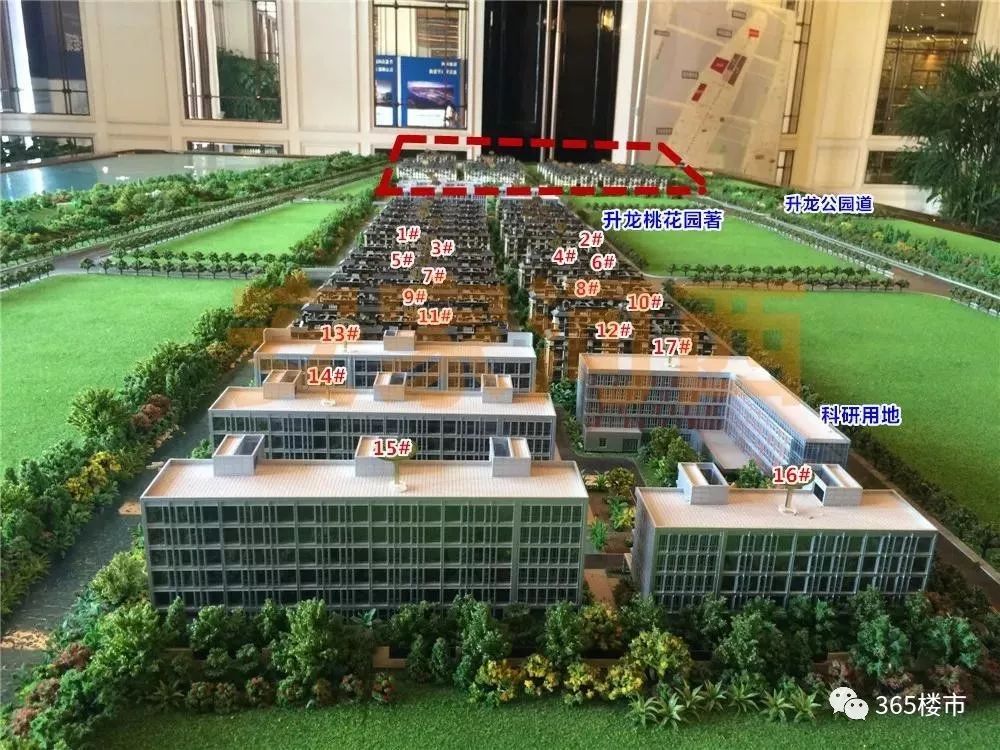 倒挂2万/㎡！江心洲豪宅最快本周开盘！