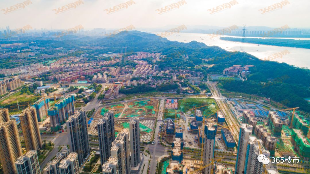 官方回应积极引进南师学区！燕子矶新城起飞