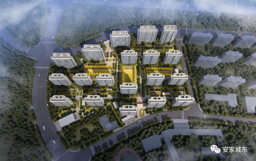 仙林湖重磅宅地规划19栋住宅曝光！明年上市