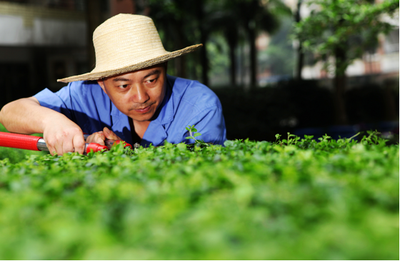 赞！南京60家物业管理示范项目被公示，快看看有你家小区吗？